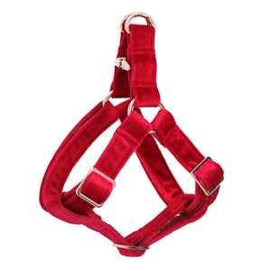 Ruby Red Harness Set
