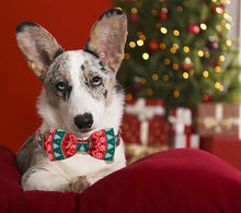 Load image into Gallery viewer, Festive Fido Set

